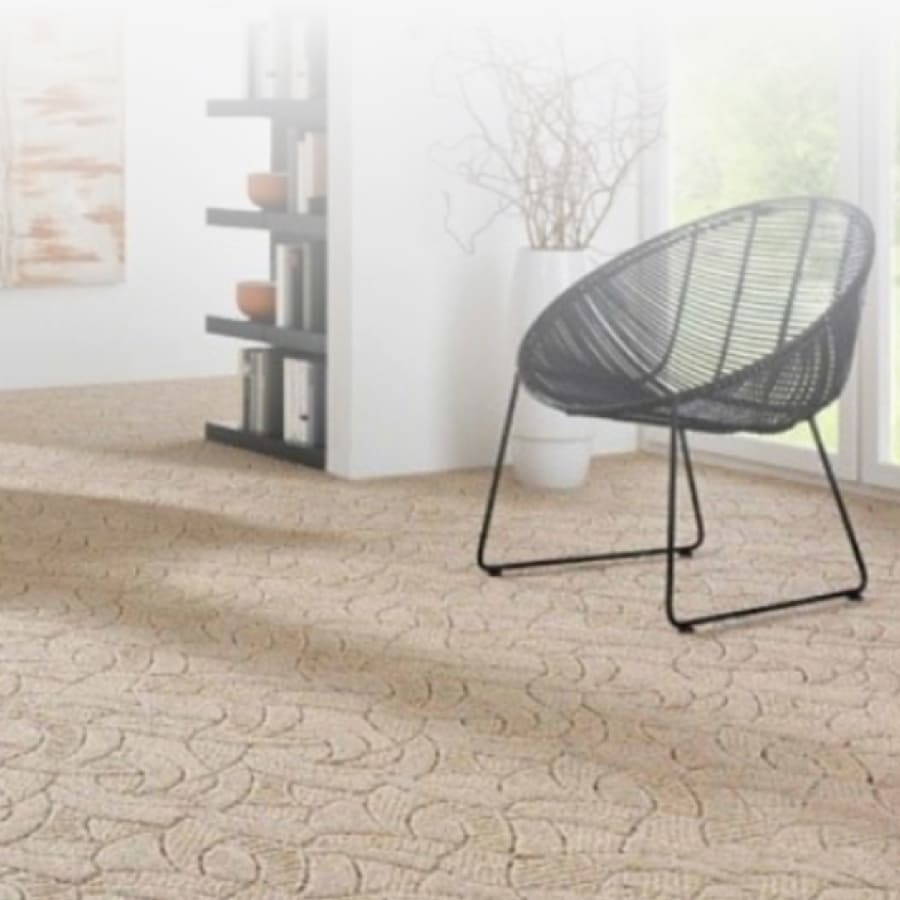 Expert Carpet Cleaning Tampa