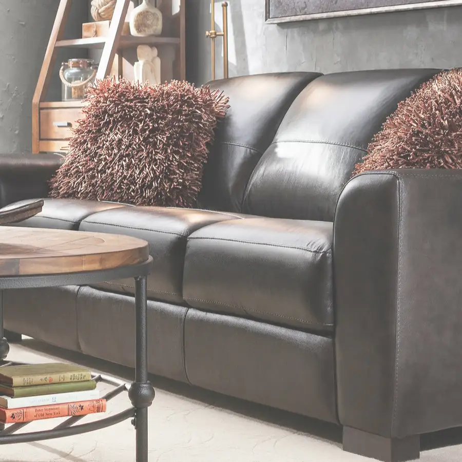 Expert Leather Upholstery Cleaning Tampa