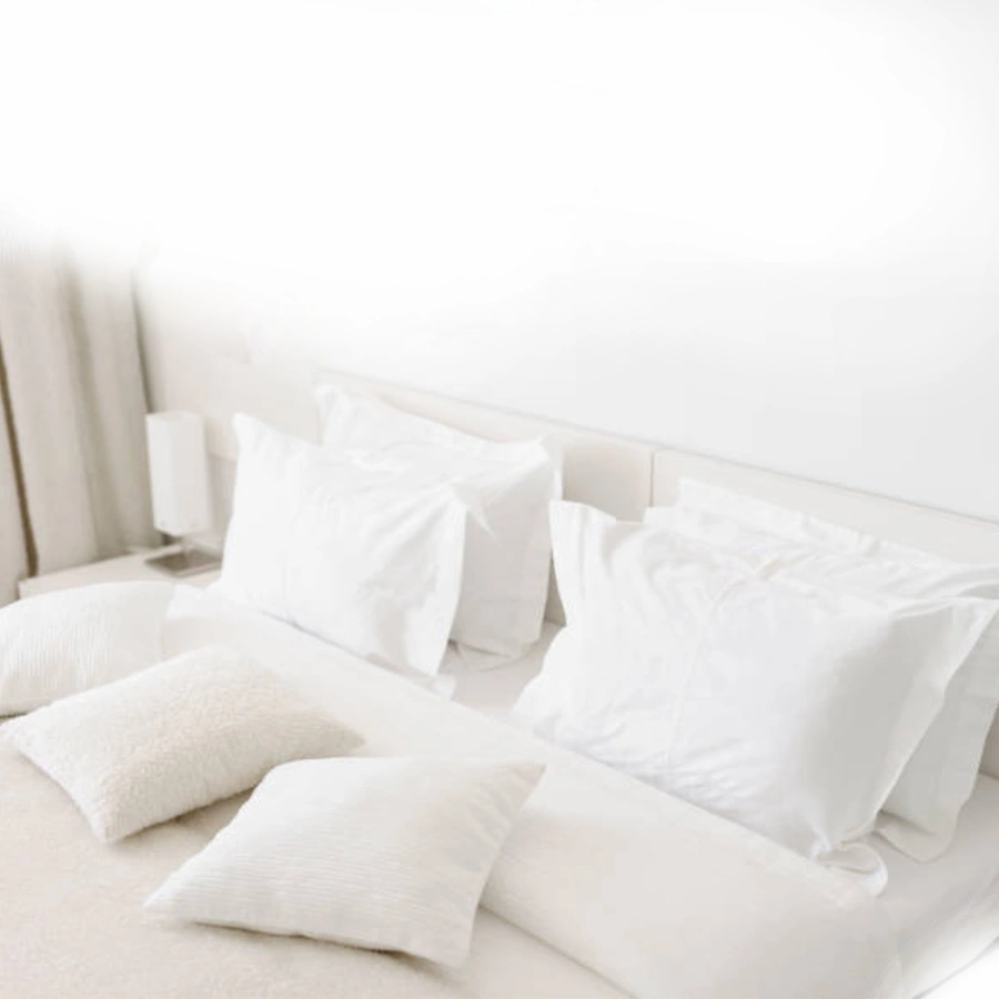 Expert Mattress Cleaning Orlando