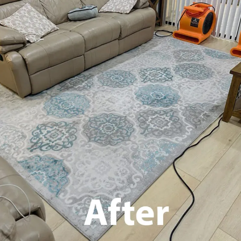 Cleaned Rug After Odor Removal And Fiber Rinse