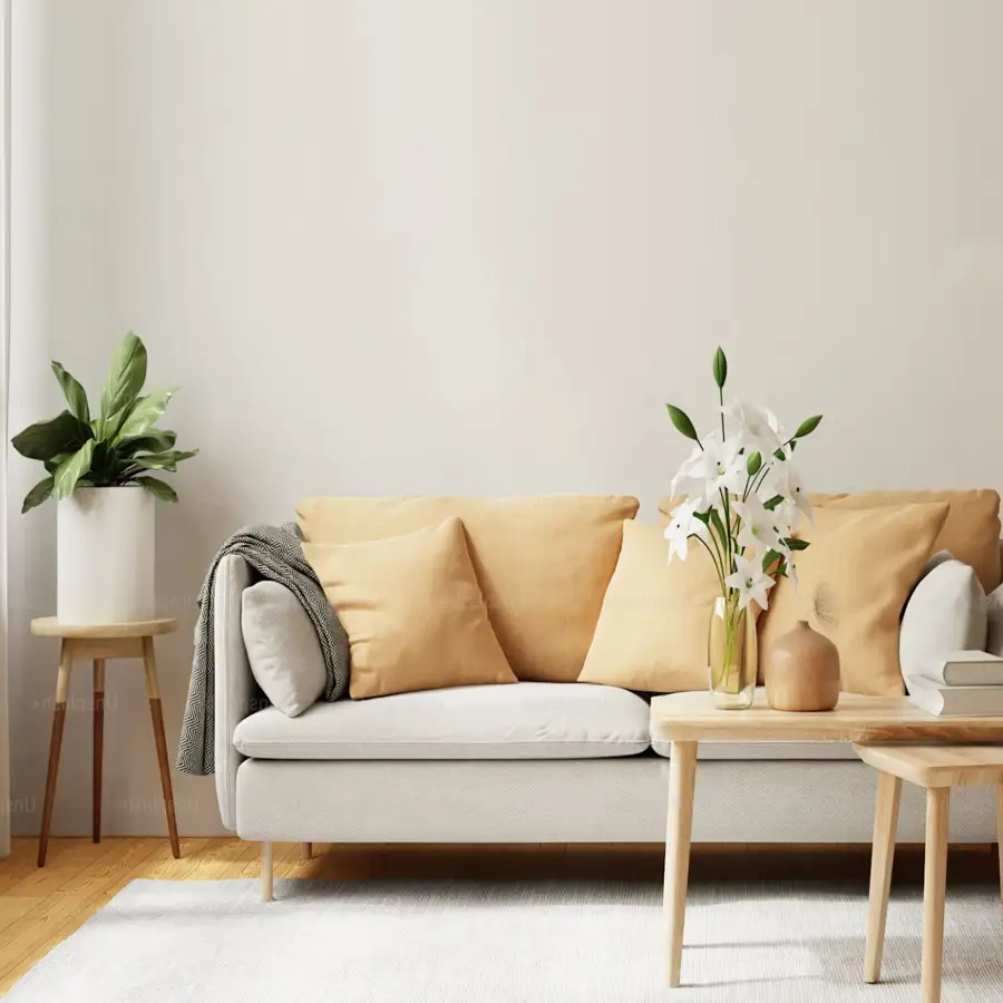 Upholstery Cleaning Service in San Diego  Deep Steam & Stain Removal