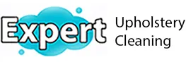 Expert Upholstery Cleaning